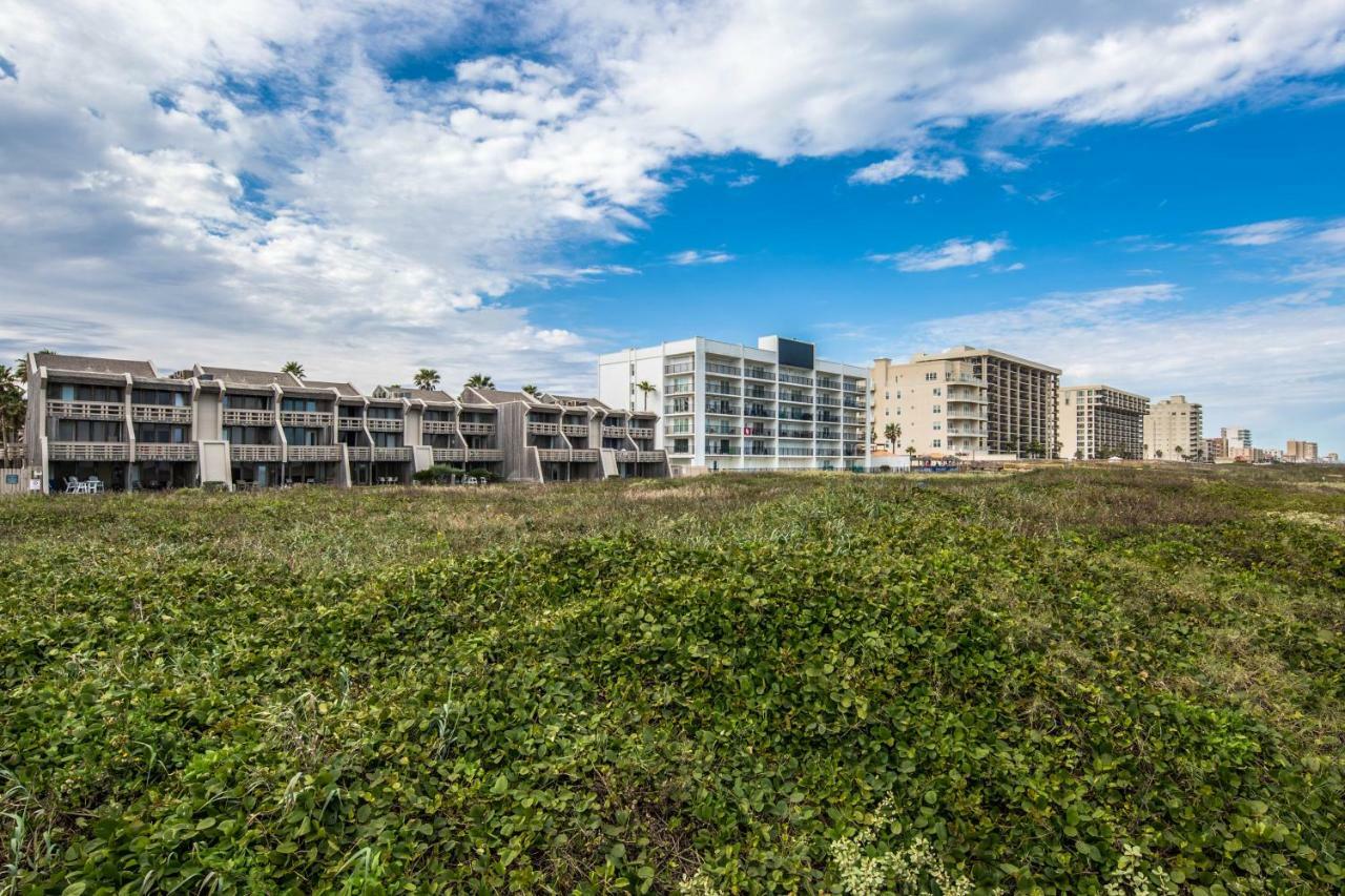 Palm Tree Escape Appartement South Padre Island Buitenkant foto