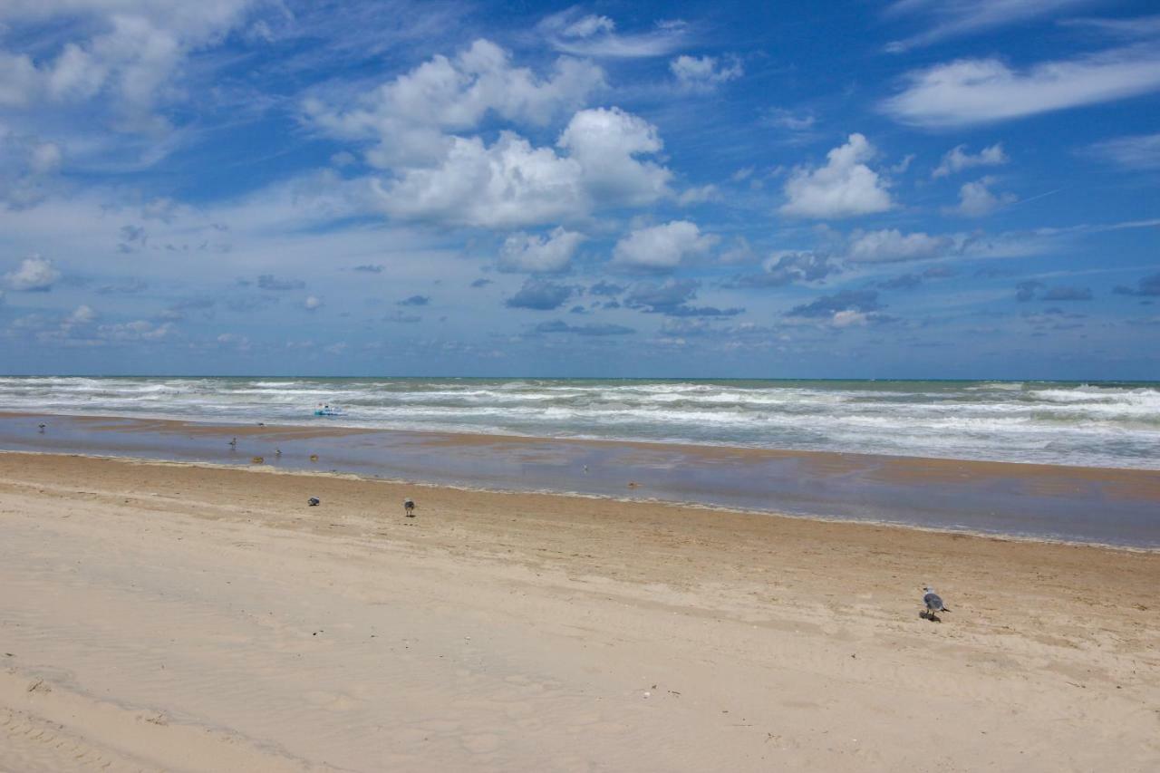 Palm Tree Escape Appartement South Padre Island Buitenkant foto