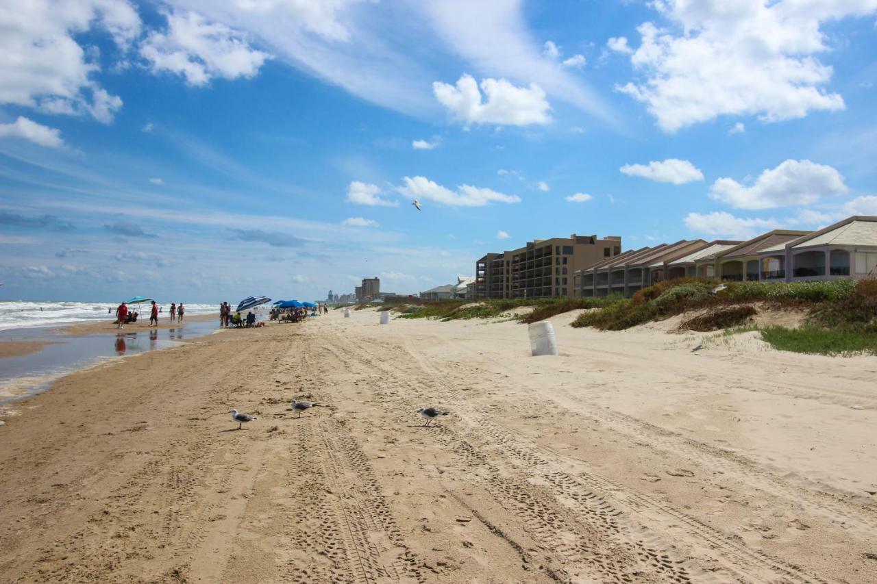 Palm Tree Escape Appartement South Padre Island Buitenkant foto
