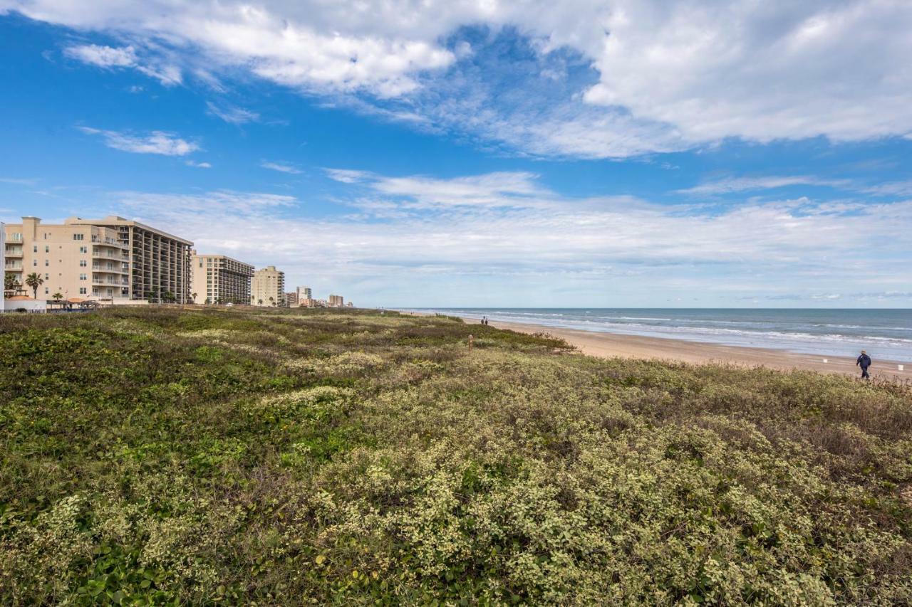 Palm Tree Escape Appartement South Padre Island Buitenkant foto