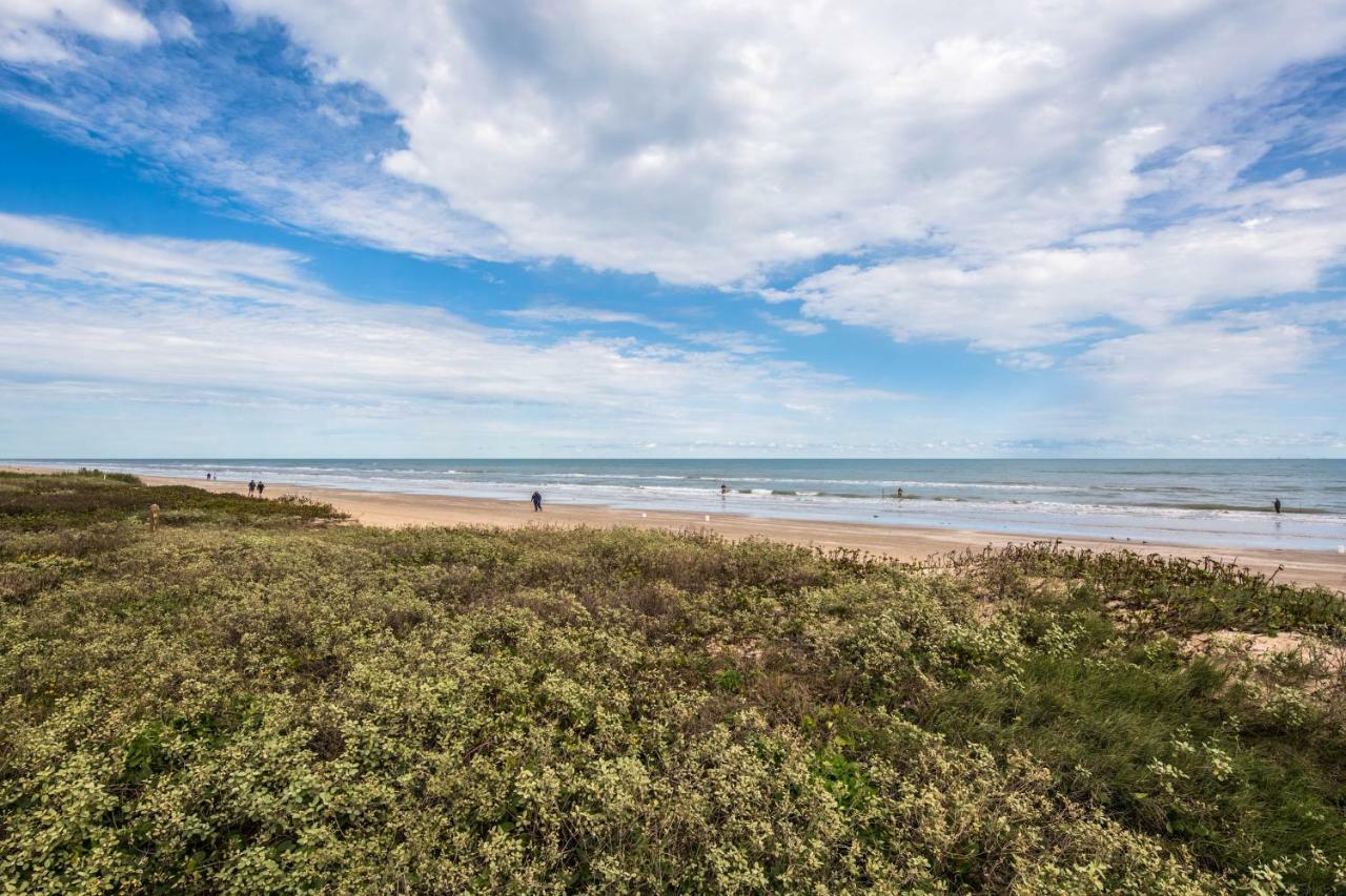 Palm Tree Escape Appartement South Padre Island Buitenkant foto